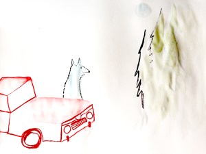 140719 de vuelta a casa